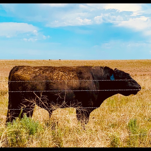 Sharing Oregon 🧡 - Picture 3 of 16